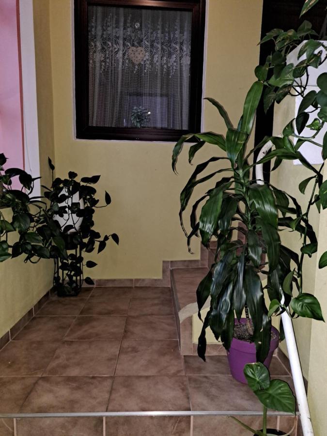 La Bibicu Hotel Agnita Luaran gambar