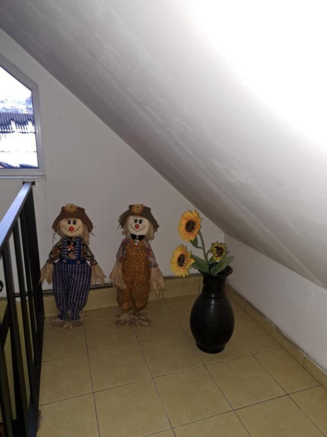 La Bibicu Hotel Agnita Luaran gambar